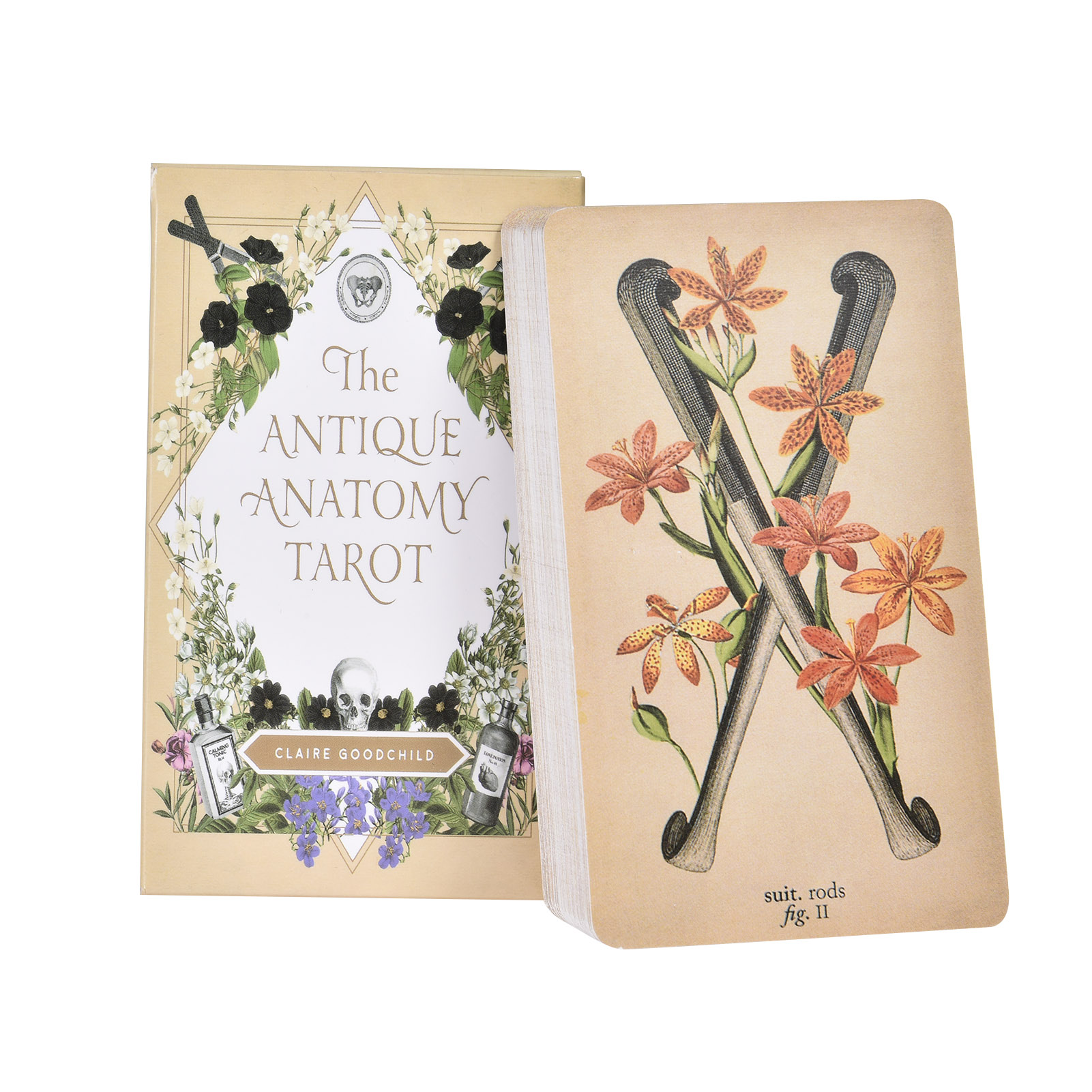 Tarot Cards Deck With Guidebook - As Cartas de Tarot de Anatomia