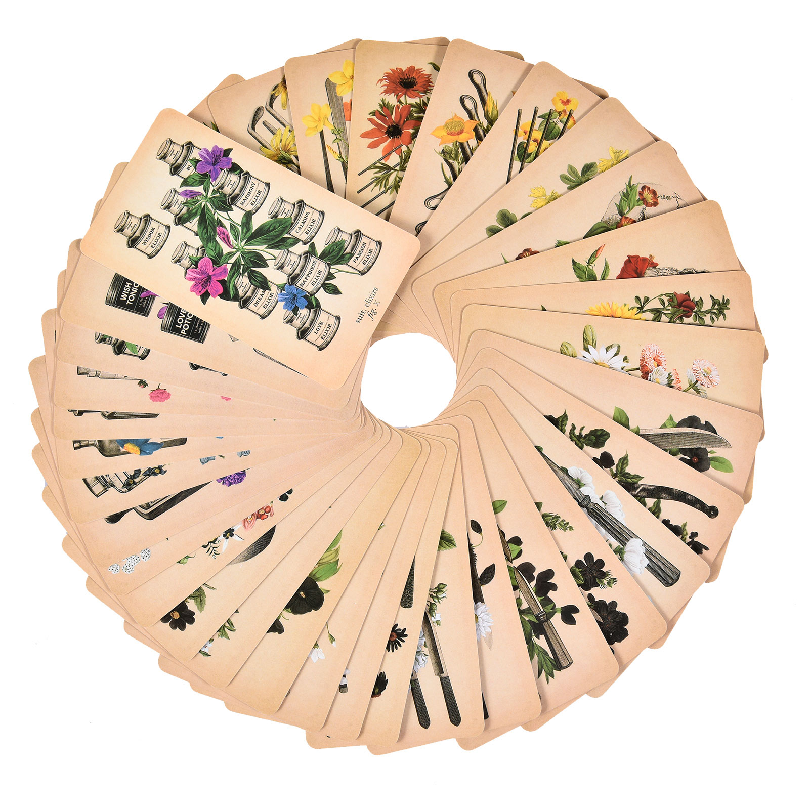 As Cartas de Tarot de Anatomia - Tarot Cards Deck With Guidebook avaliação e preço